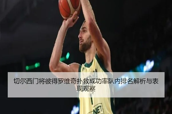 切尔西门将彼得罗维奇扑救成功率队内排名解析与表现观察