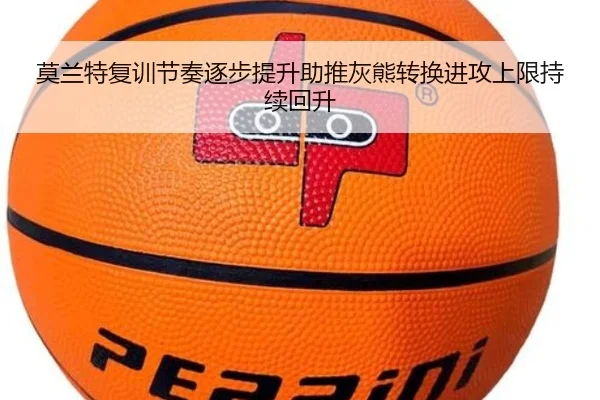 莫兰特复训节奏逐步提升助推灰熊转换进攻上限持续回升